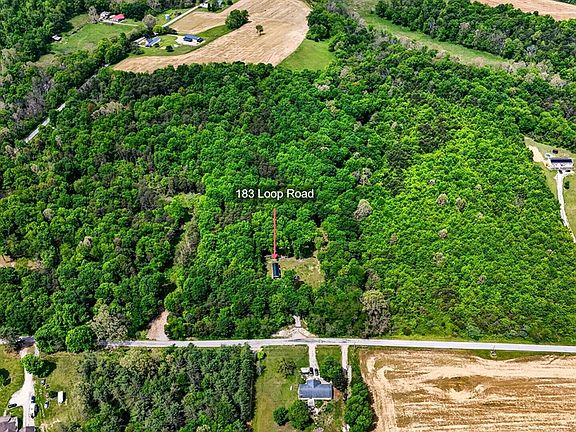5th image of 183 Loop Rd
