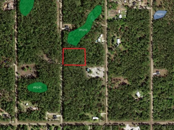 10680 Delgado Ave, Hastings, FL 32145