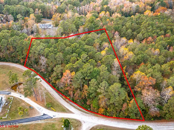 0 Tempe Gut Road, Bayboro, NC 28515