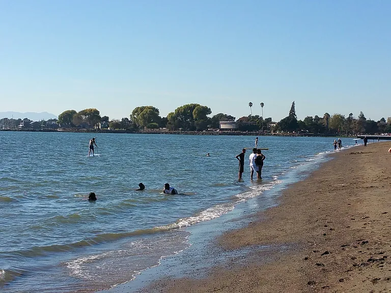 Alameda Beach - Yes that is real sand and on the SF Bay. FYI Alameda is an island, connected by a tunnel, 3 bridges and a ferry.
