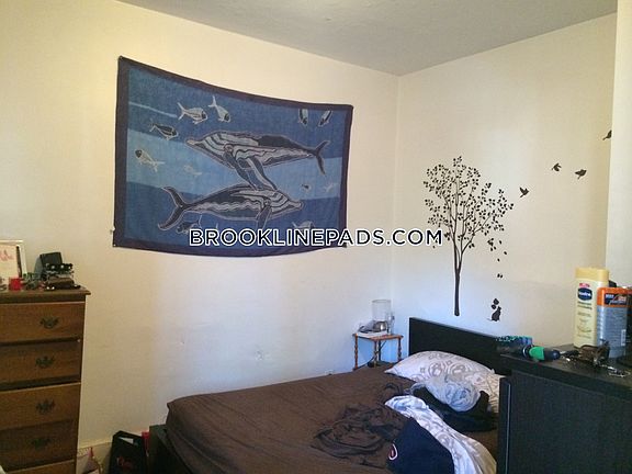 2nd image of 37 Harvard Ave #A