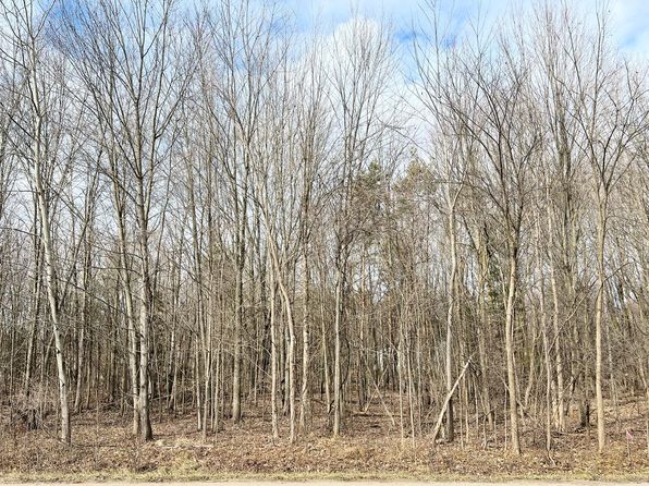 13505 Leonard St, Nunica, MI 49448