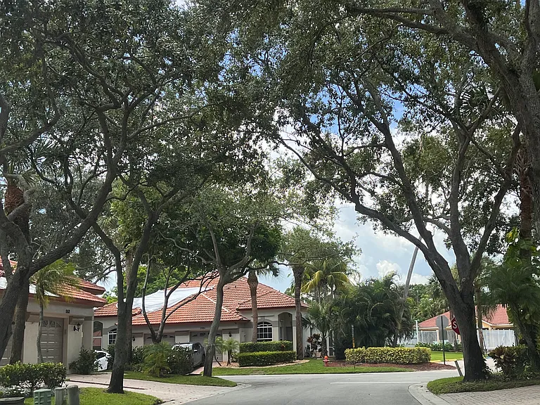 1107 Via Jardin Palm — Photo 30