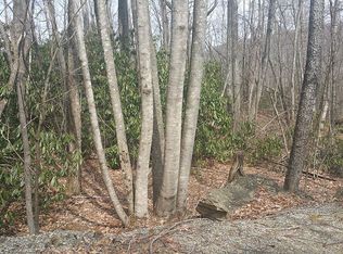Yellow Violet Dr #54, Beech Mountian, NC 28604