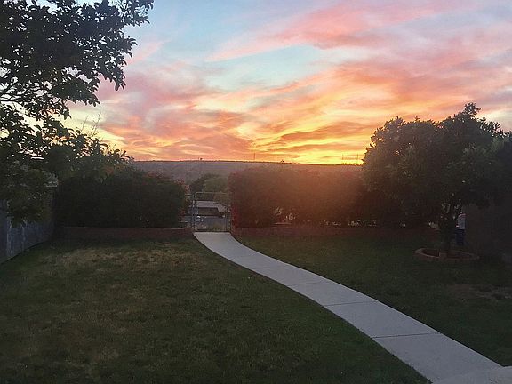 Backyard View