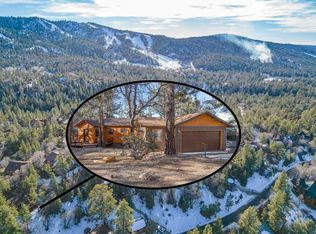 1207 Alameda Rd, Big Bear, CA 92314