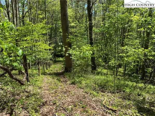 TBD Sutherland Road, Creston, NC 28615