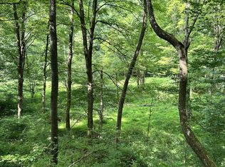 Indian Fork Rd, Parsons, WV 26287