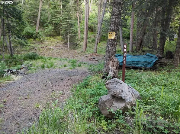 59831 River Canyon Rd, Imnaha, OR 97842
