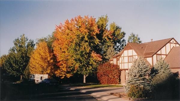 2nd image of 421 Sherilynn Cir