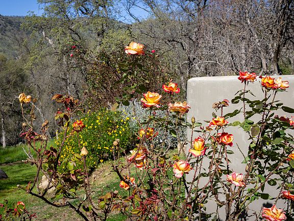 5th image of 44294 Sequoia Oaks Drive