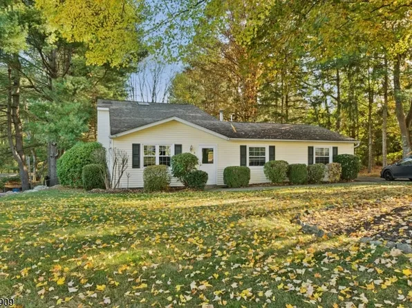 9 Carol Ct, Glen Gardner Boro, NJ 08826