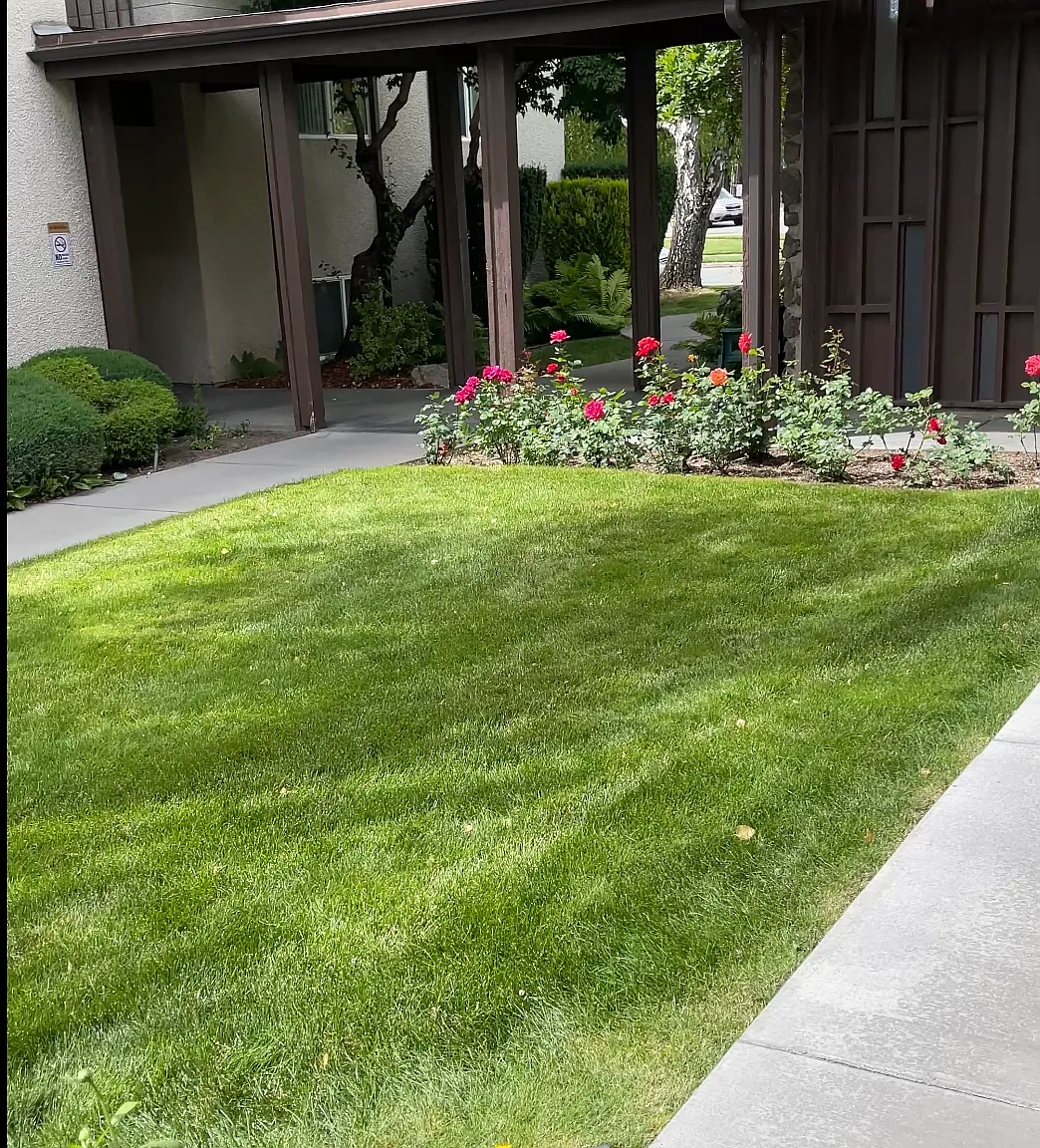 2711 W Euclid Ave — Photo 2