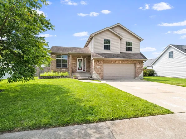 221 W Brian Ln, Braidwood, IL 60408