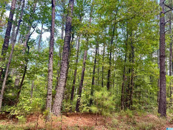 80/ACRE S County Road 252 #0, Wedowee, AL 36278