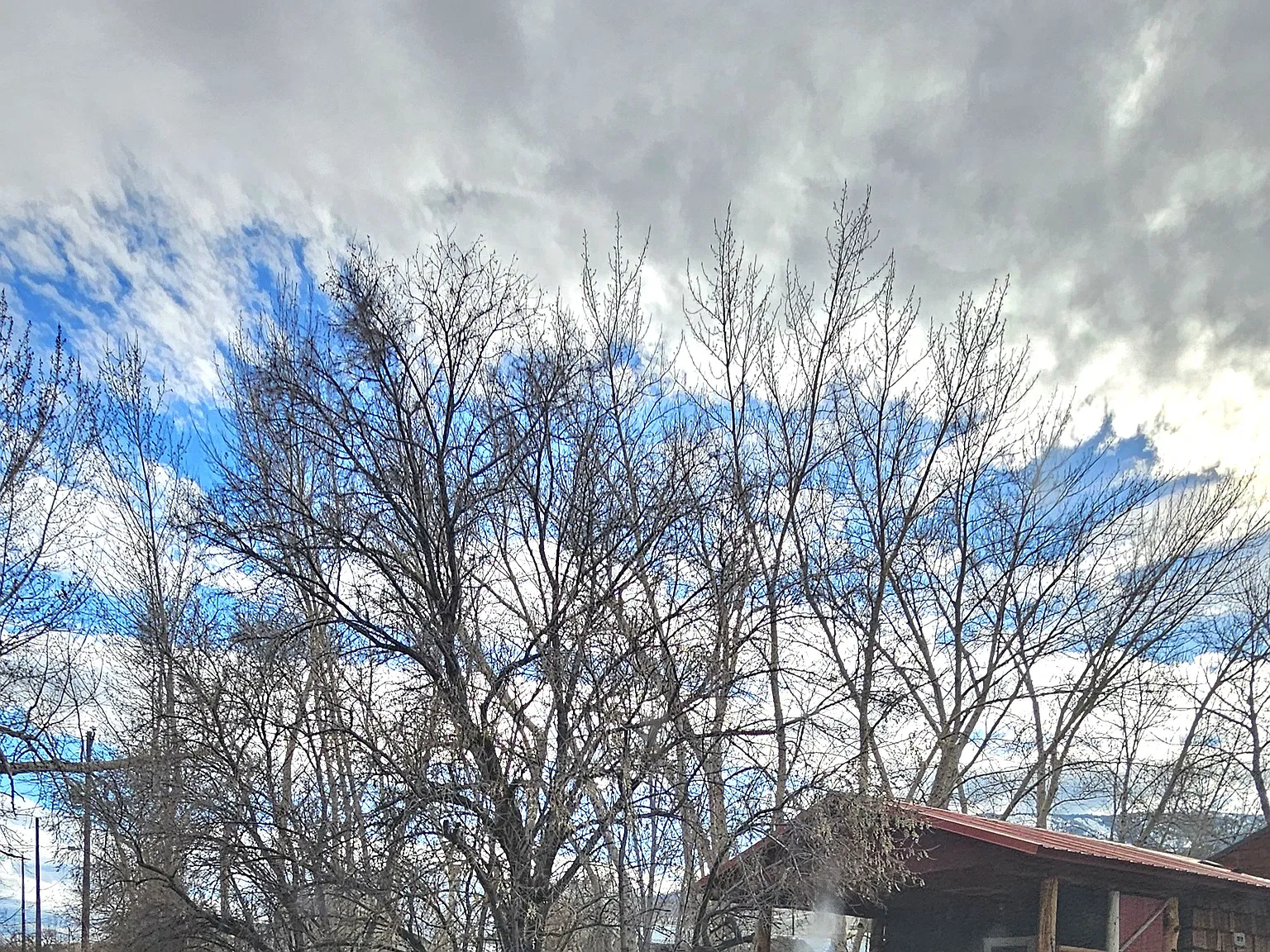 Bryan Ave, Salmon — Photo 2