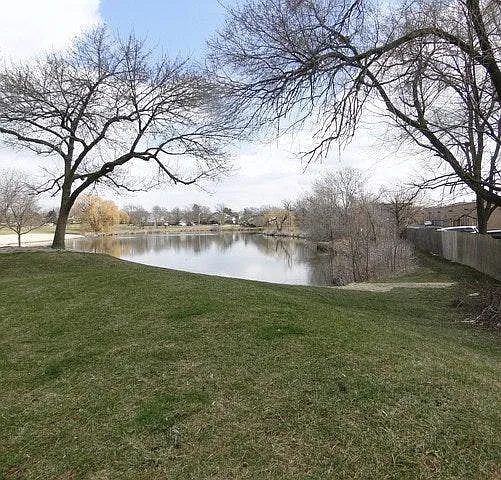 Pond