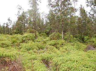 Young Rd LOT 2, Hilo, HI 96720