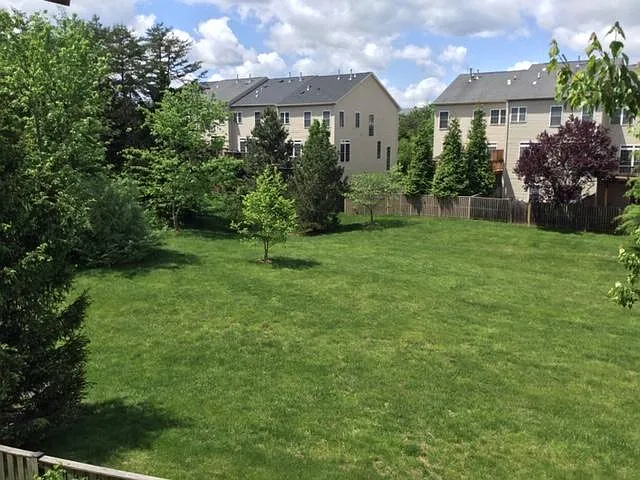 Huge Common Backyard