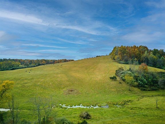 3rd image of O Tbd Old B