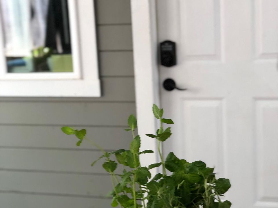Front door