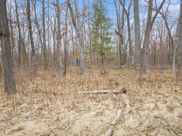 V/l N Woodbridge Rd, Bitely, MI 49309