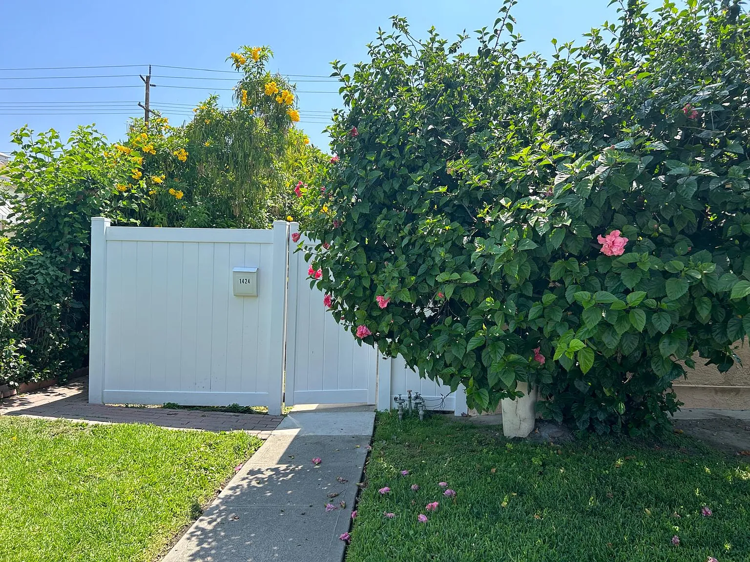 1426 N Hollywood Way — Photo 1