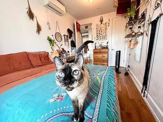 Rented by Pear NYC LLC | media 32