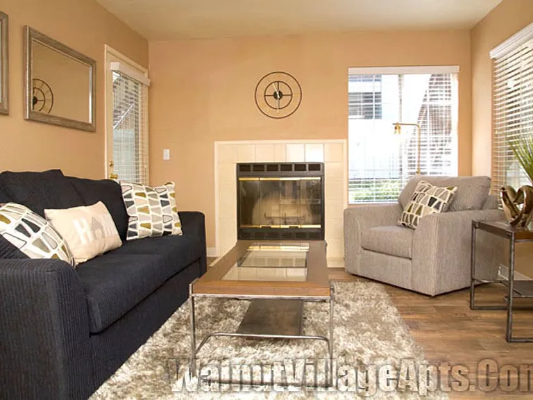 Walnut Village — Photo 14