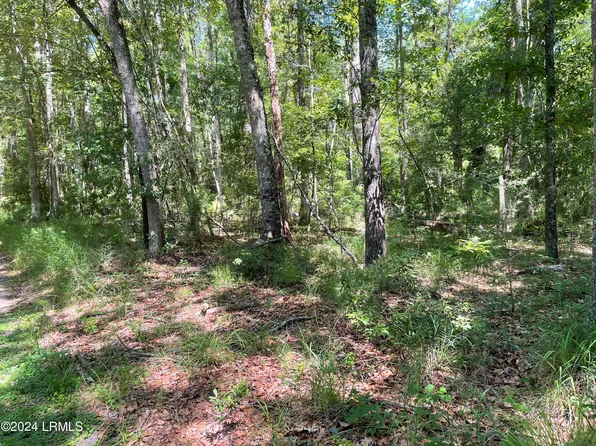 Tbd Wagon Branch Loop, Ridgeland, SC 29936