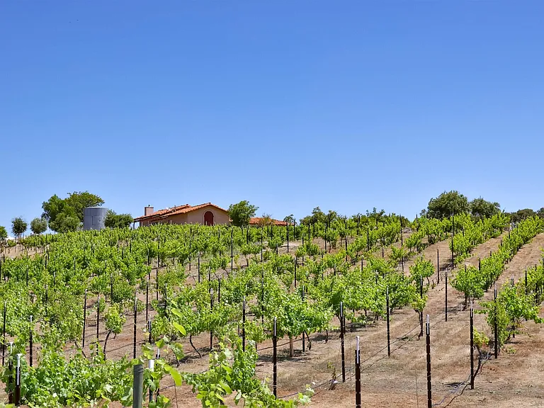 25933 Potrero Valley Rd — Photo 7