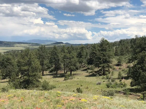 Ouray Rd, Hartsel, CO 80449