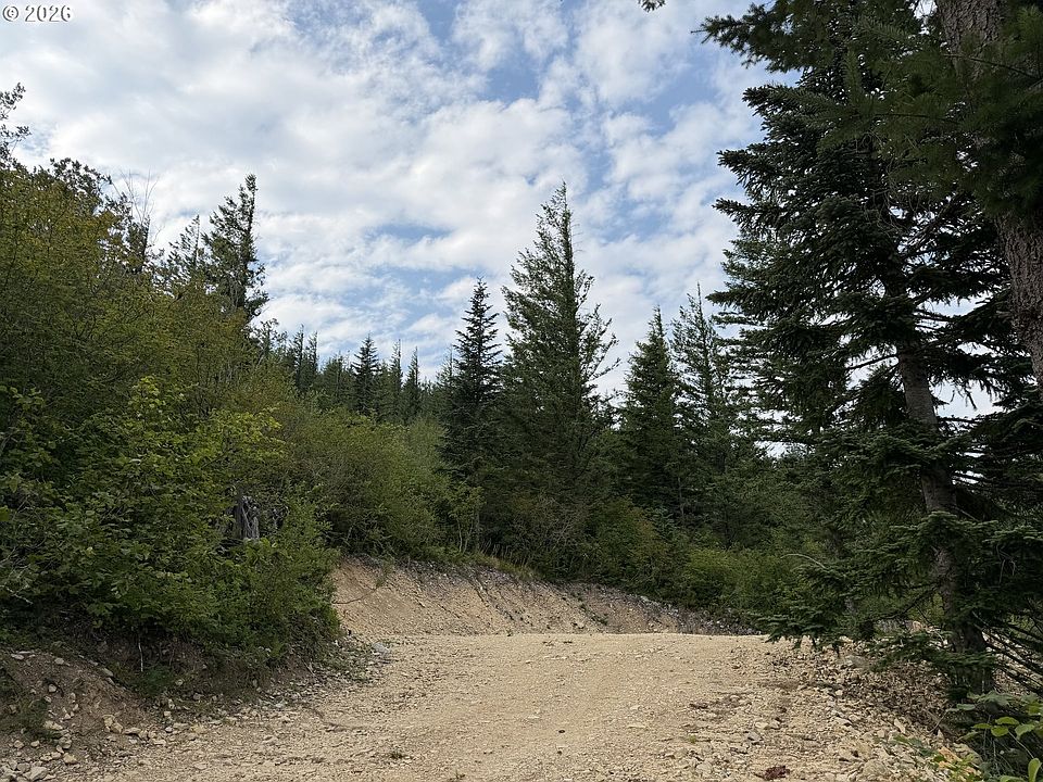 1st image of 0 Snag Mountain Rd #112