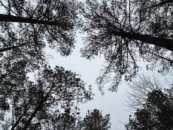 2nd image of 3715 Split Rail Way #1123