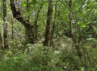 0 Chuckawa Ln SE, Yelm, WA 98597
