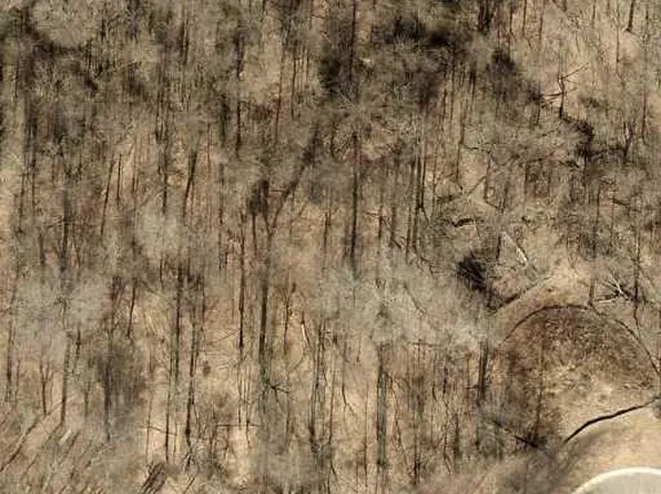 LOT 31 Skyline Dr, Floyds Knobs, IN 47119