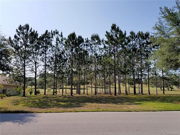 2865 N Brentwood Circle - Front of Homesite - Look at how nice the view is of the Golf Course!
