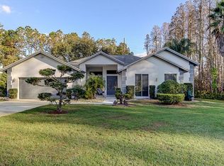 15911 Race Track Rd, Odessa, FL 33556