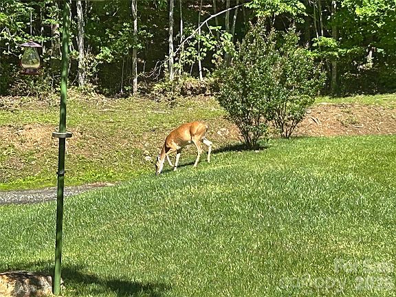 45th image of this home