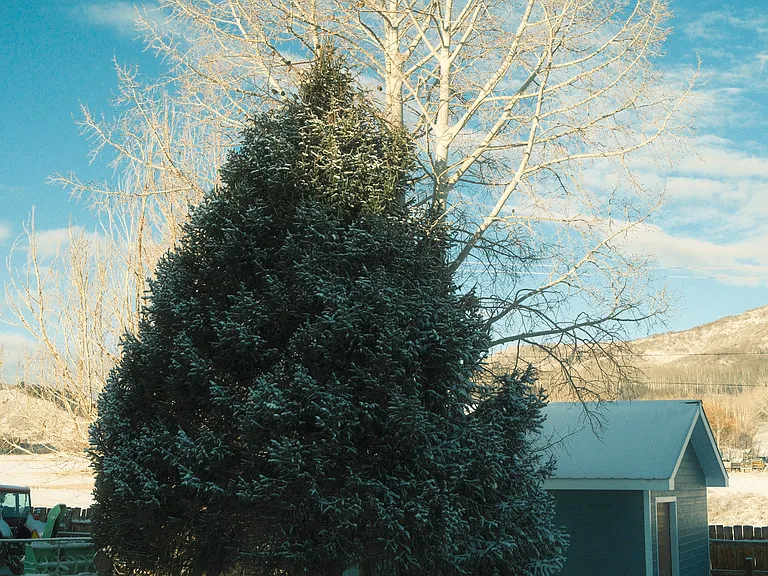 726 Lillian Ln #202 — Photo 63