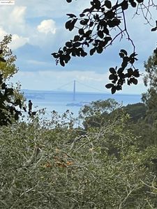 67 Gypsy Ln, Berkeley, CA, 94705