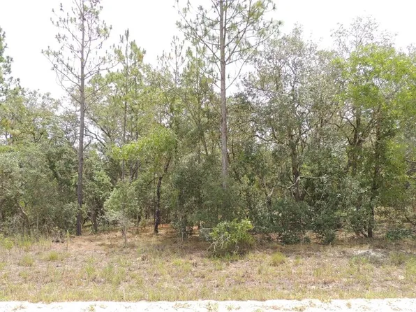 71 SE 141st Ct #10, Williston, FL 32696