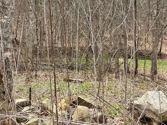 5th image of 4913 Snake Hollow Rd