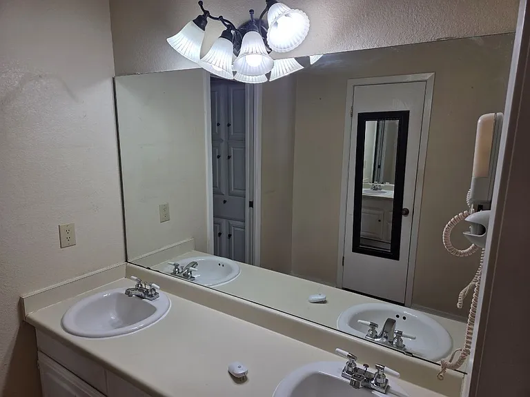 Master bath, shower and walk in closet