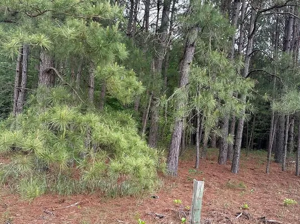 0 Wimberly Rd, Manning, SC 29102