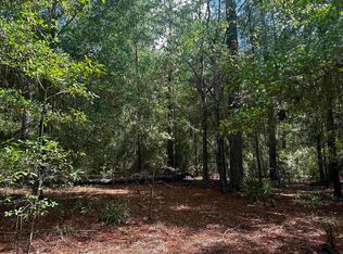 Vacant Ne Jasmine Ter, Lee, FL 32059