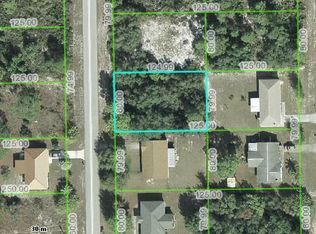 1613 Chatsworth St, Lake Placid, FL 33852