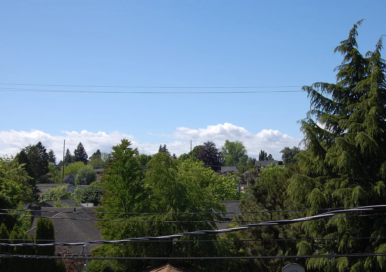 1621 Queen Anne Ave N — Photo 3