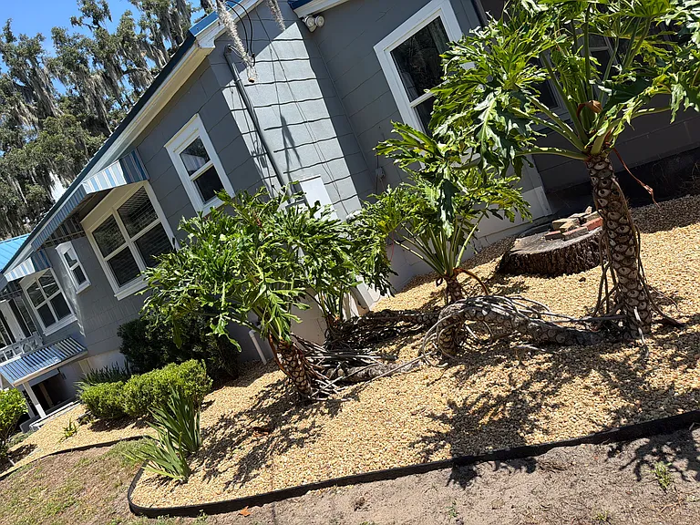 1550 Clay Blvd — Photo 30