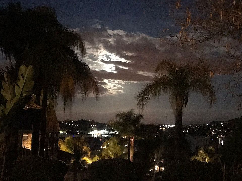 Night views